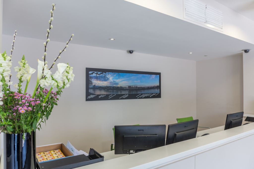 Putney Panorama