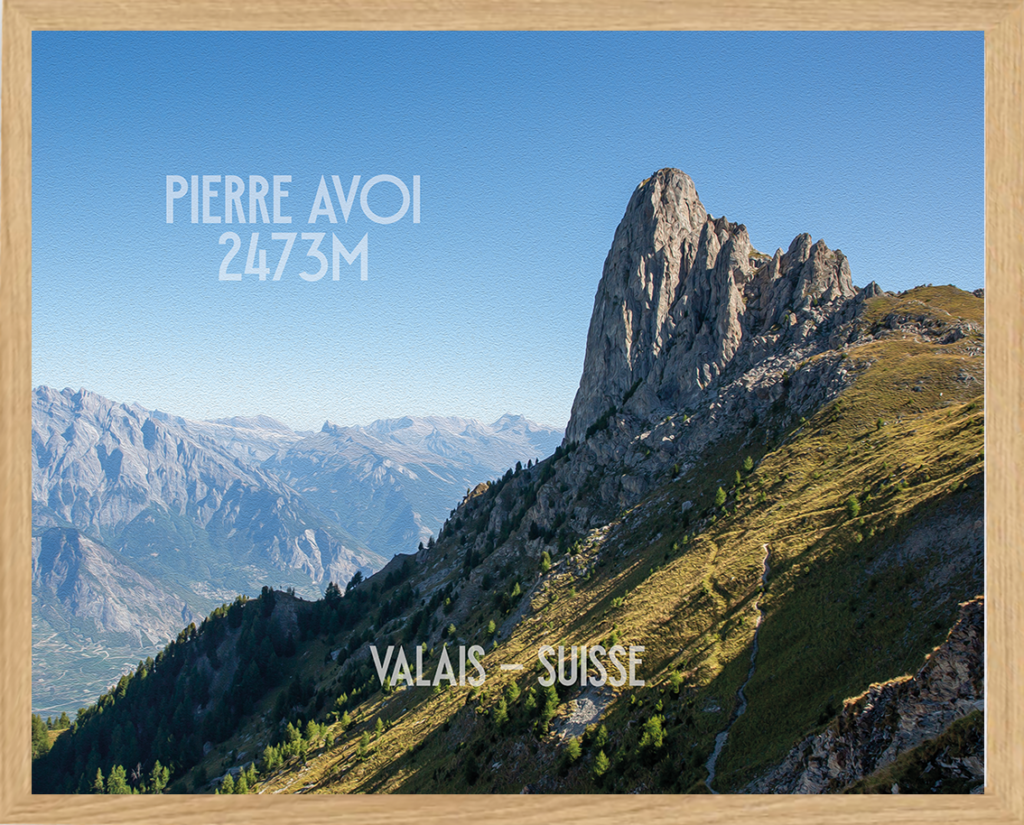 Poster Pierre Avoi